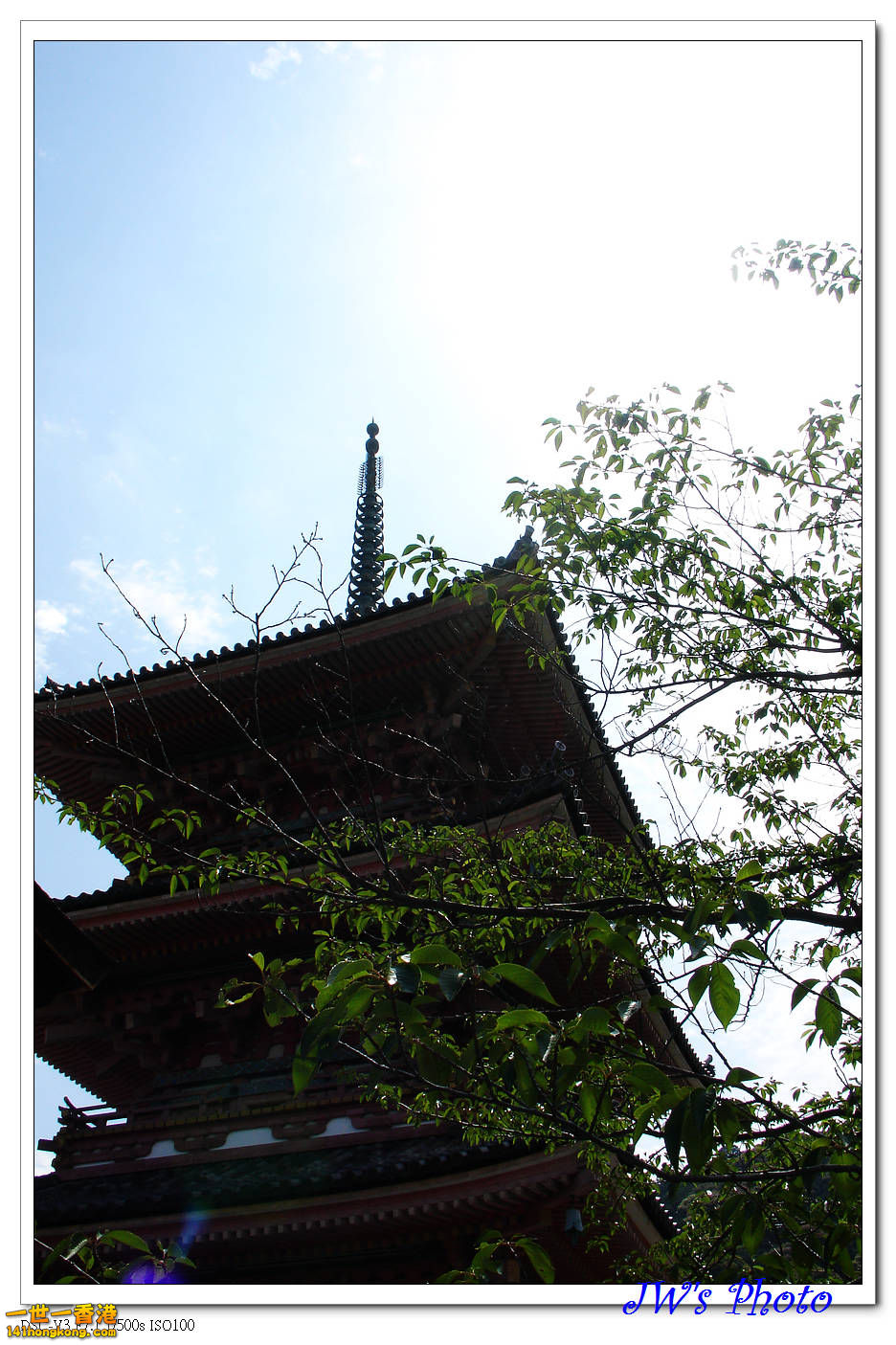 DSC01241.jpg