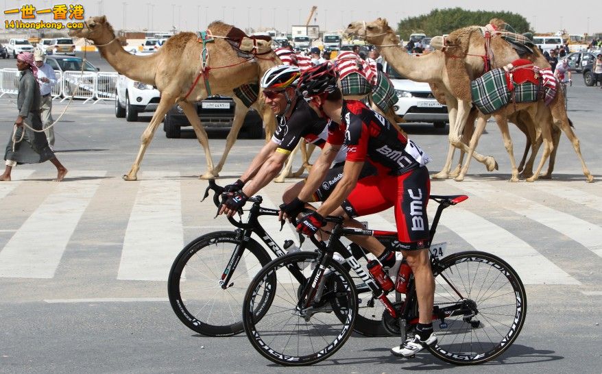 afp_qatar_cycling_09Feb12-878x546.jpg