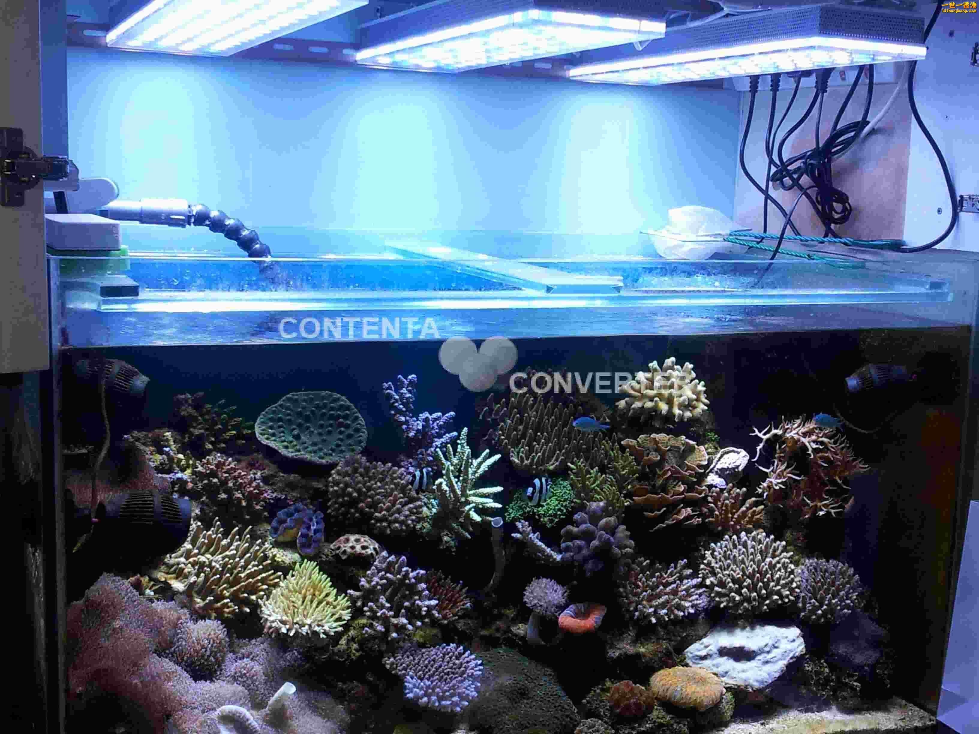 2011-12-20 13.11.18.jpg