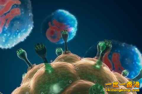 精美的人體3D圖譜 2.jpg