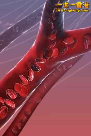 精美的人體3D圖譜 5.jpg