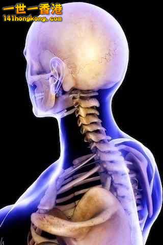 精美的人體3D圖譜 7.jpg