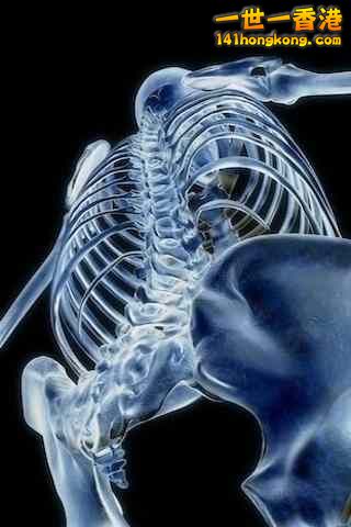 精美的人體3D圖譜 8.jpg