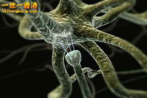 精美的人體3D圖譜 9.jpg