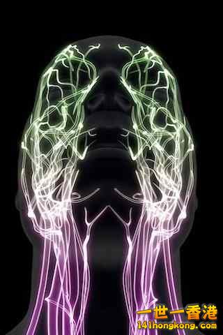 精美的人體3D圖譜 11.jpg