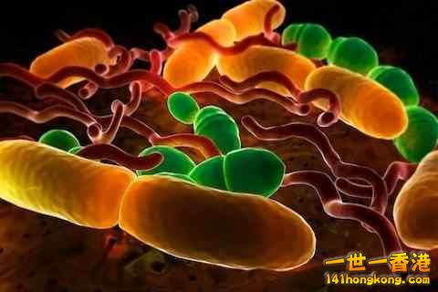 精美的人體3D圖譜 12.jpg