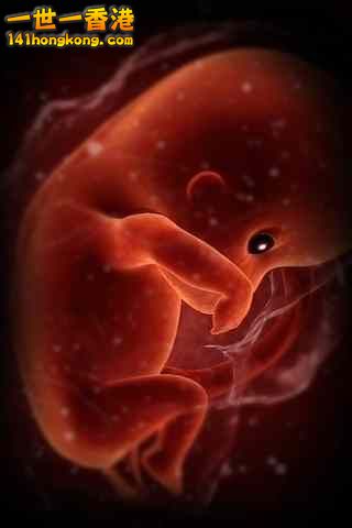 精美的人體3D圖譜 16.jpg