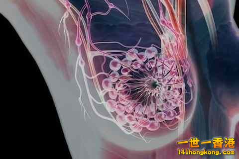 精美的人體3D圖譜 17.jpg