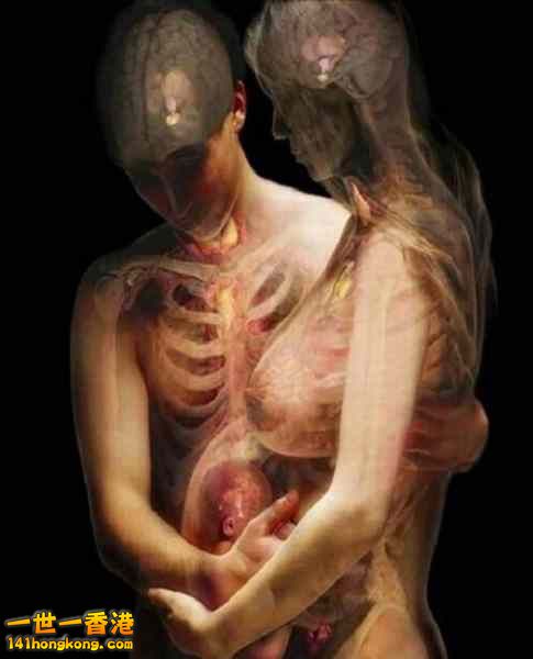 精美的人體3D圖譜 18.jpg