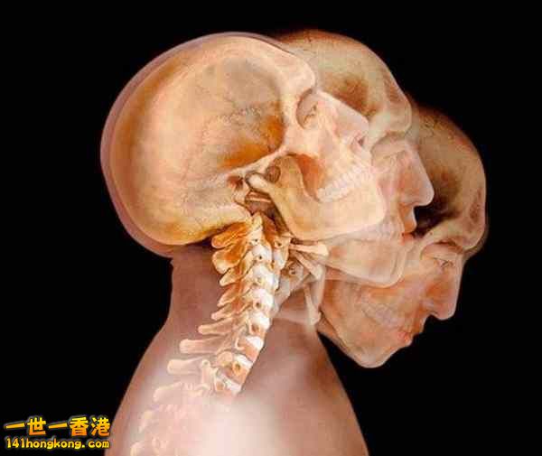 精美的人體3D圖譜 21.jpg