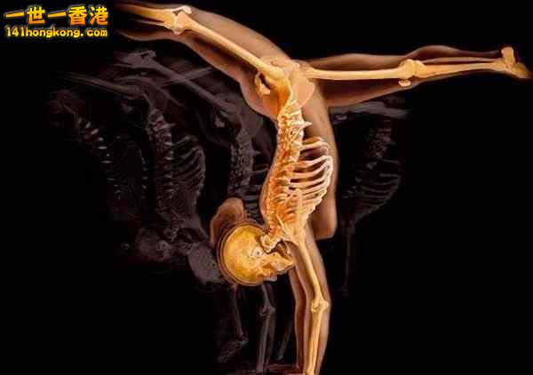 精美的人體3D圖譜 22.jpg