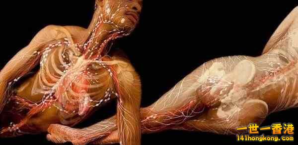 精美的人體3D圖譜 24.jpg