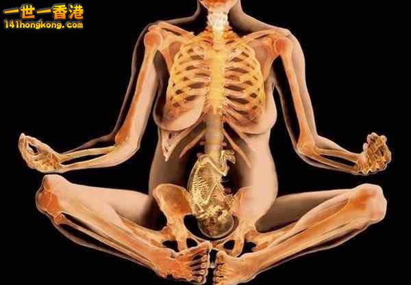 精美的人體3D圖譜 25.jpg