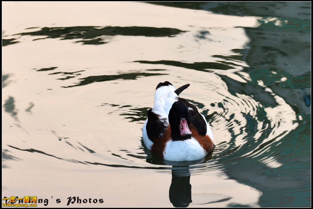 DSC_5457.jpg