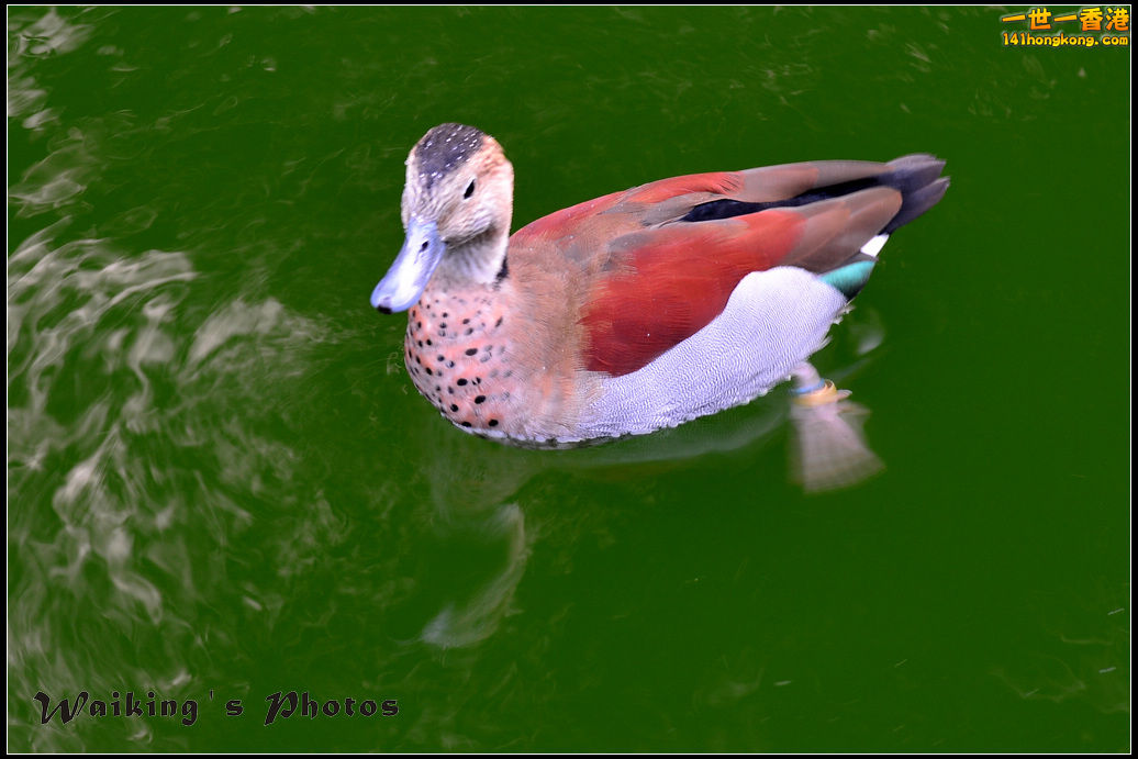 DSC_5472.jpg