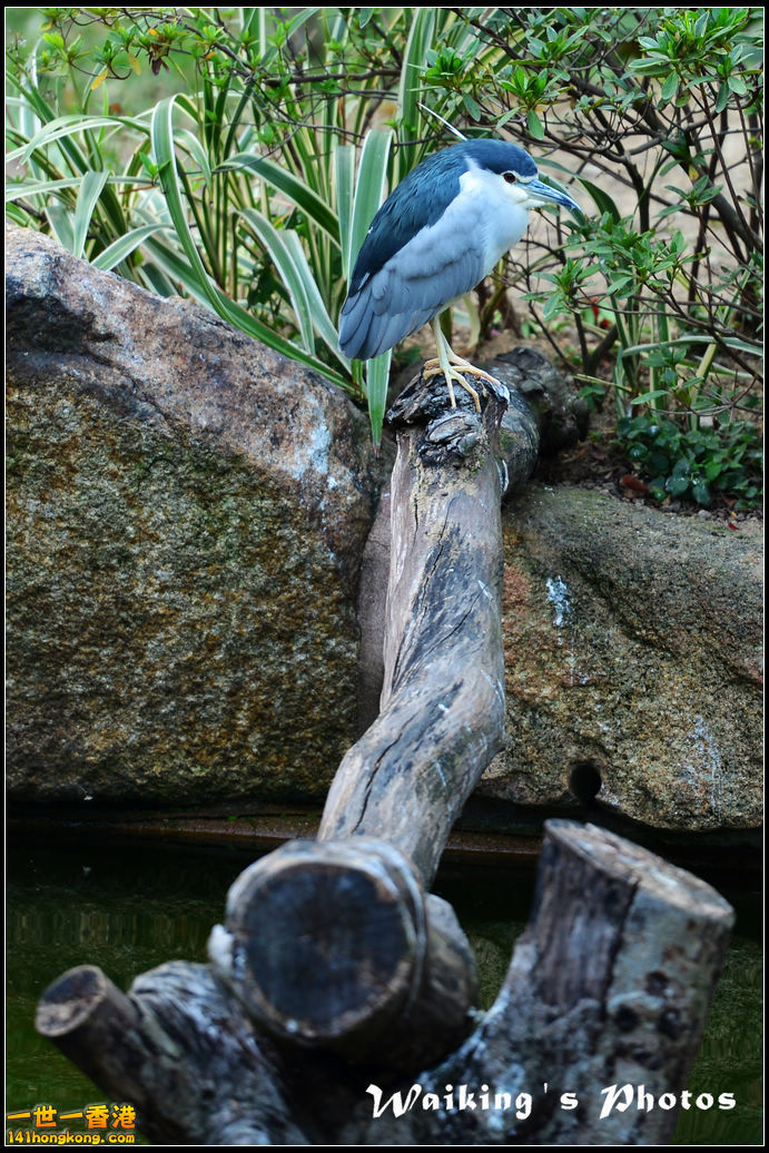 DSC_5478.jpg