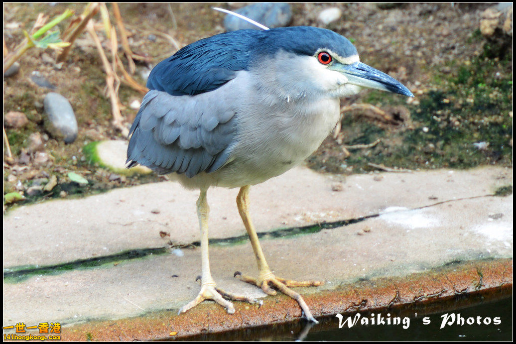 DSC_5480.jpg