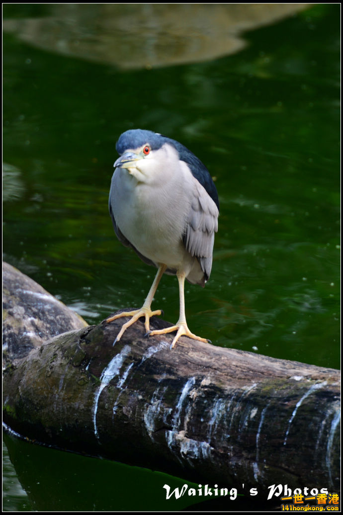 DSC_5483.jpg