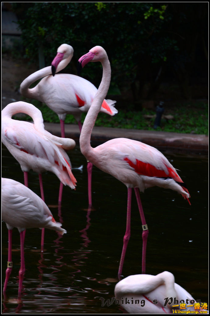 DSC_5492.jpg