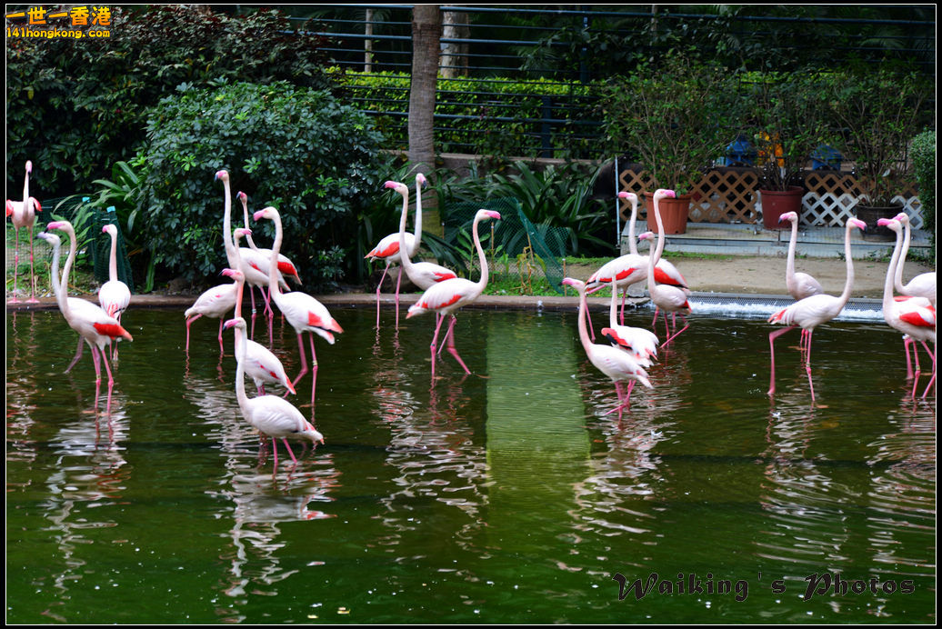 DSC_5494.jpg