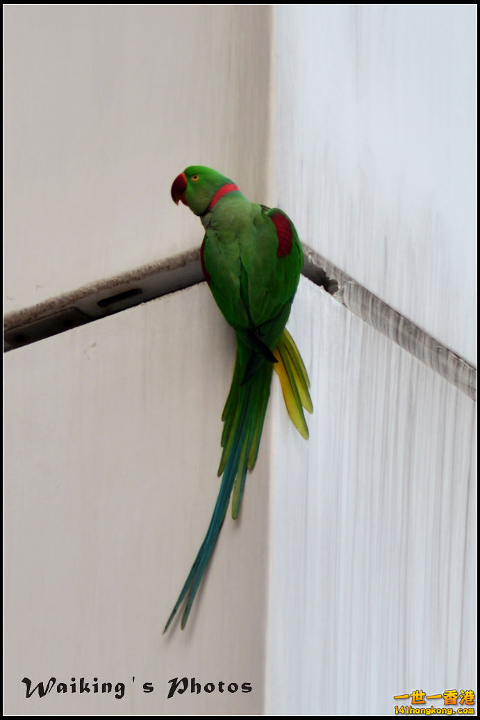 DSC_5541.jpg