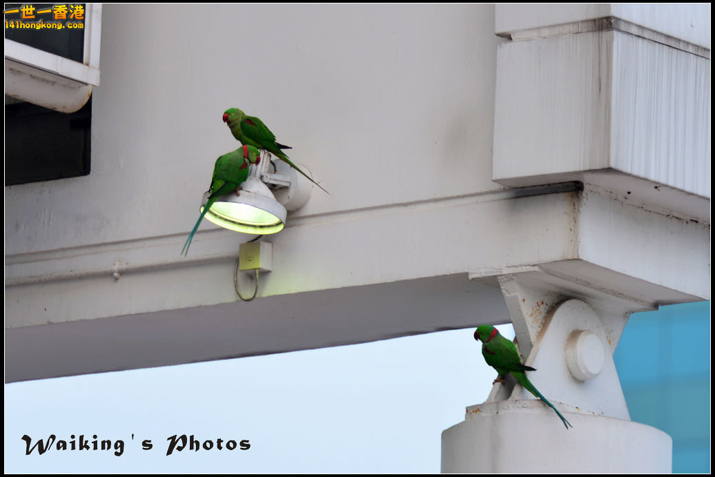 DSC_5539.jpg