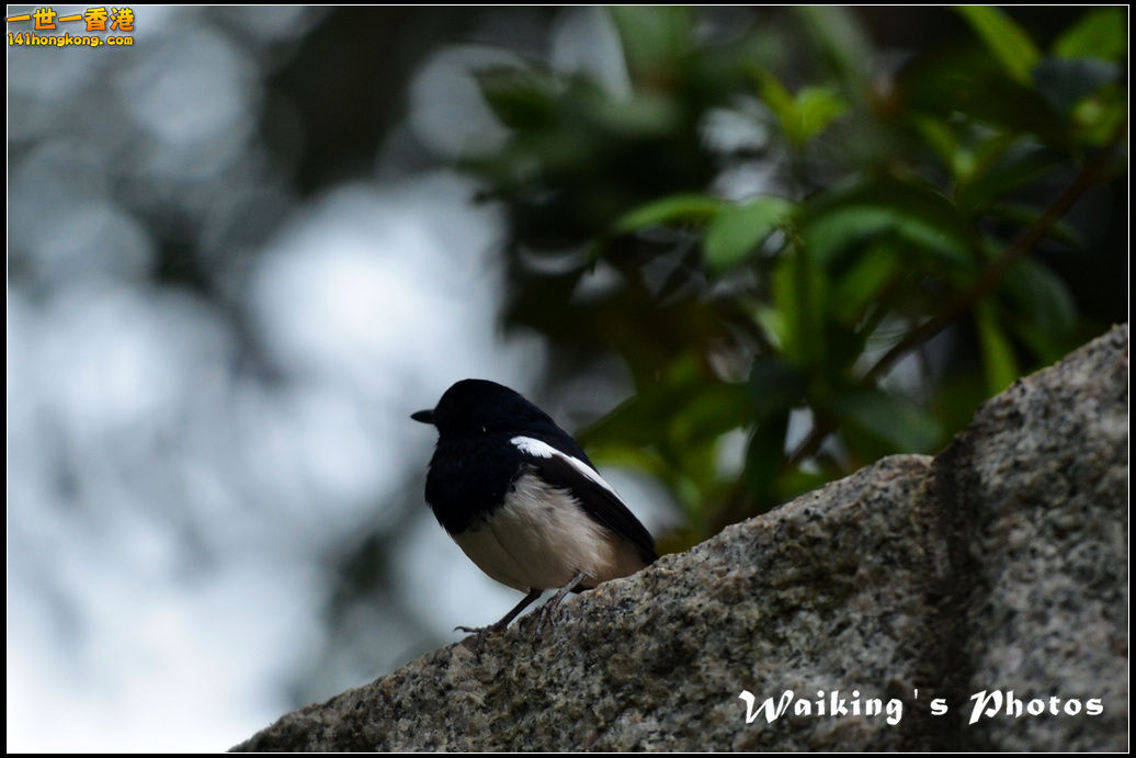 DSC_5614.jpg
