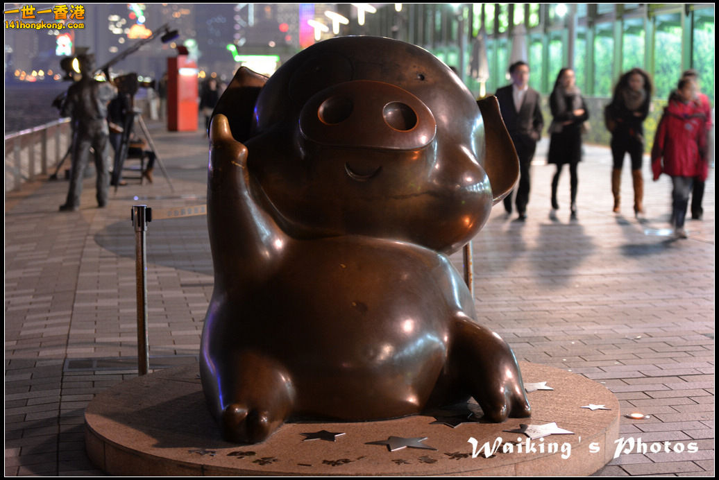 DSC_5773.jpg