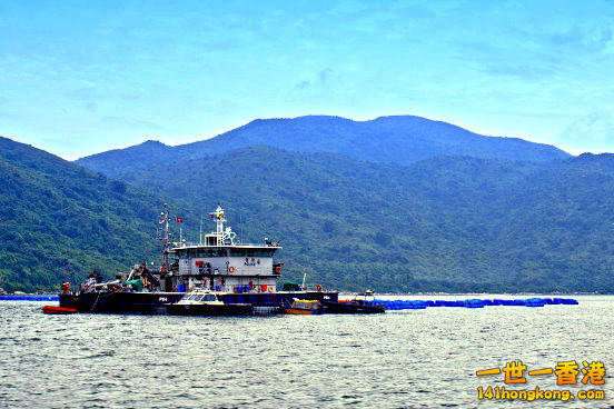 a04a.jpg