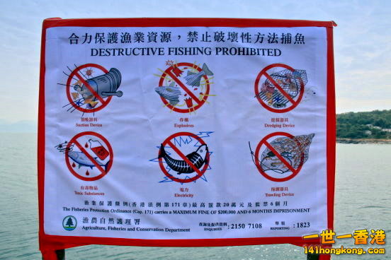 b02.JPG