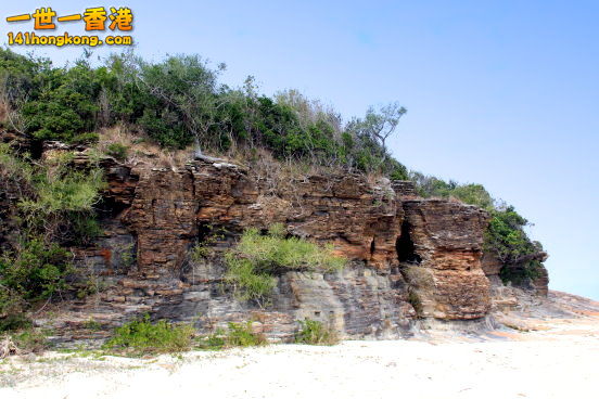 c02.JPG