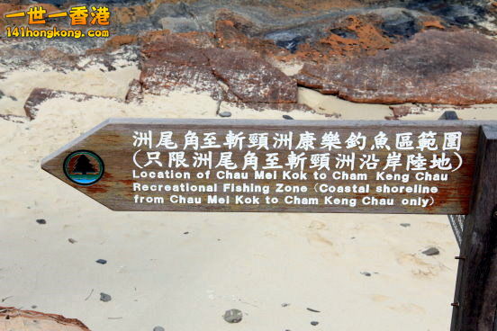 c04.JPG