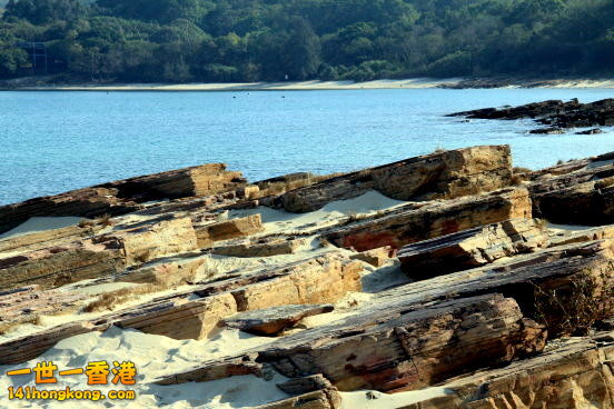 d04.JPG