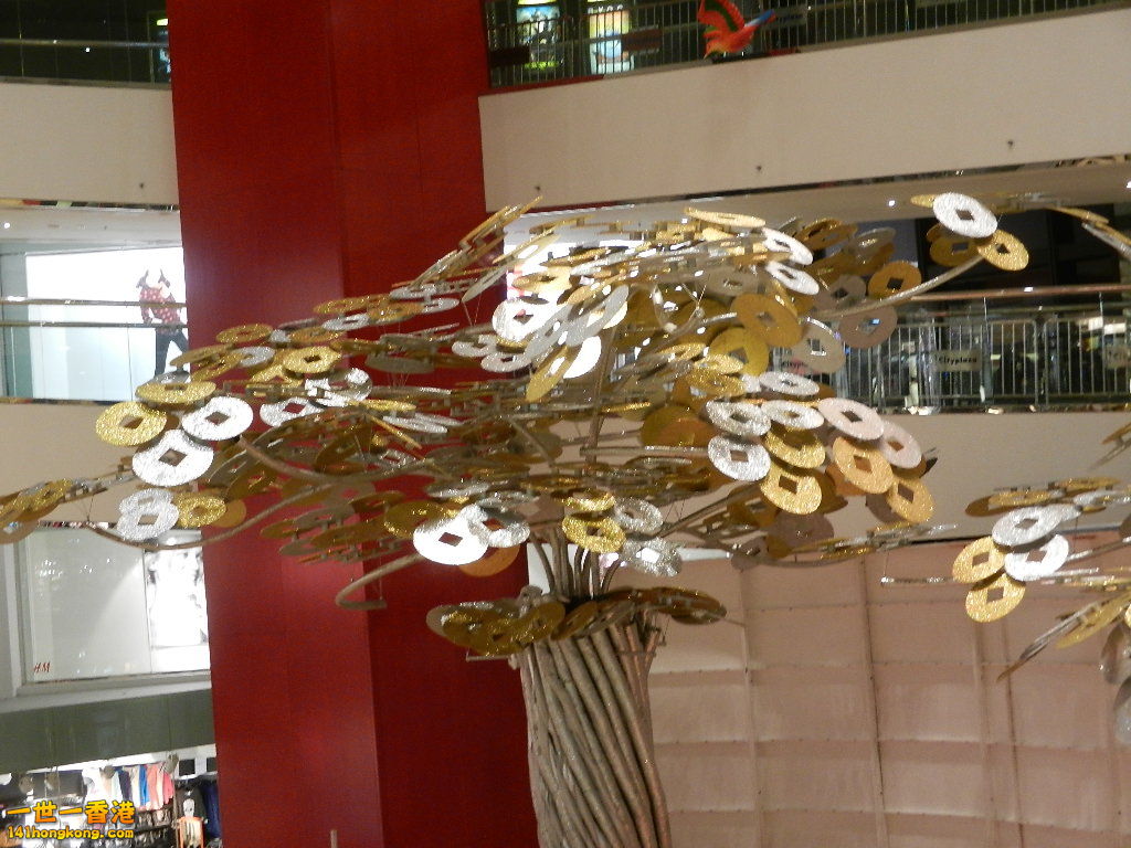 DSCN1074.JPG