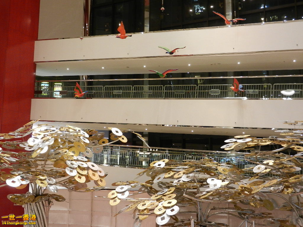 DSCN1075.JPG
