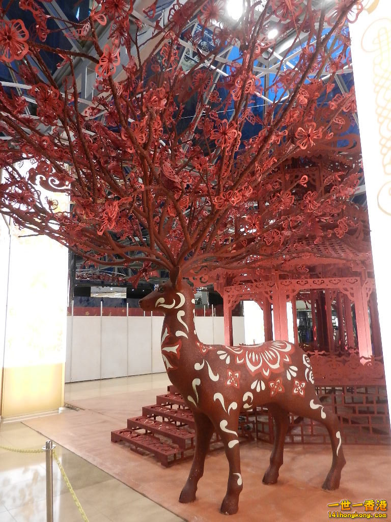 DSCN1084.JPG