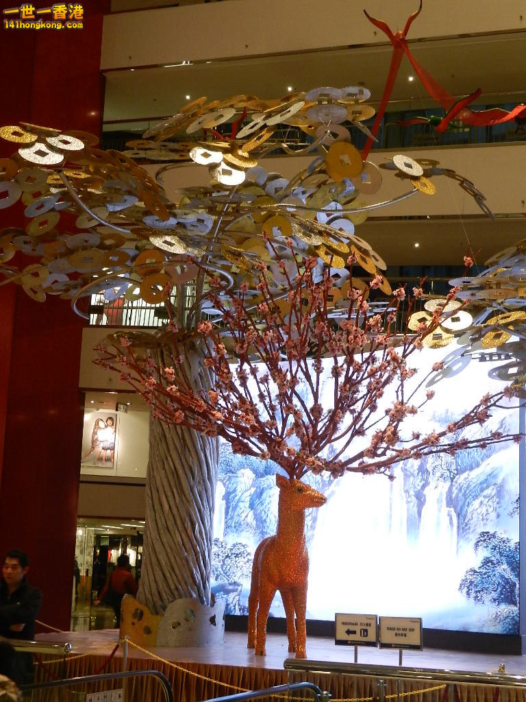 DSCN1100.JPG