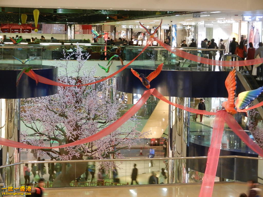 DSCN1049.JPG