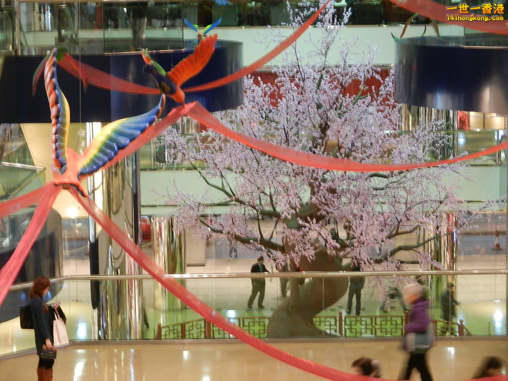 DSCN1053.JPG