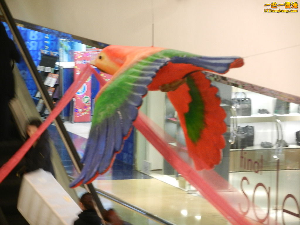 DSCN1055.JPG