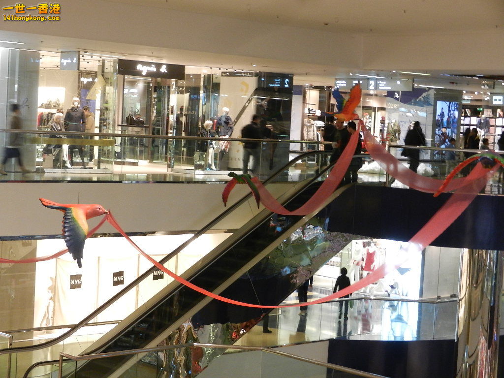 DSCN1057.JPG