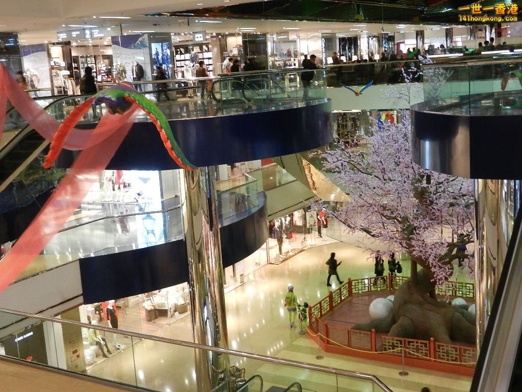 DSCN1058.JPG