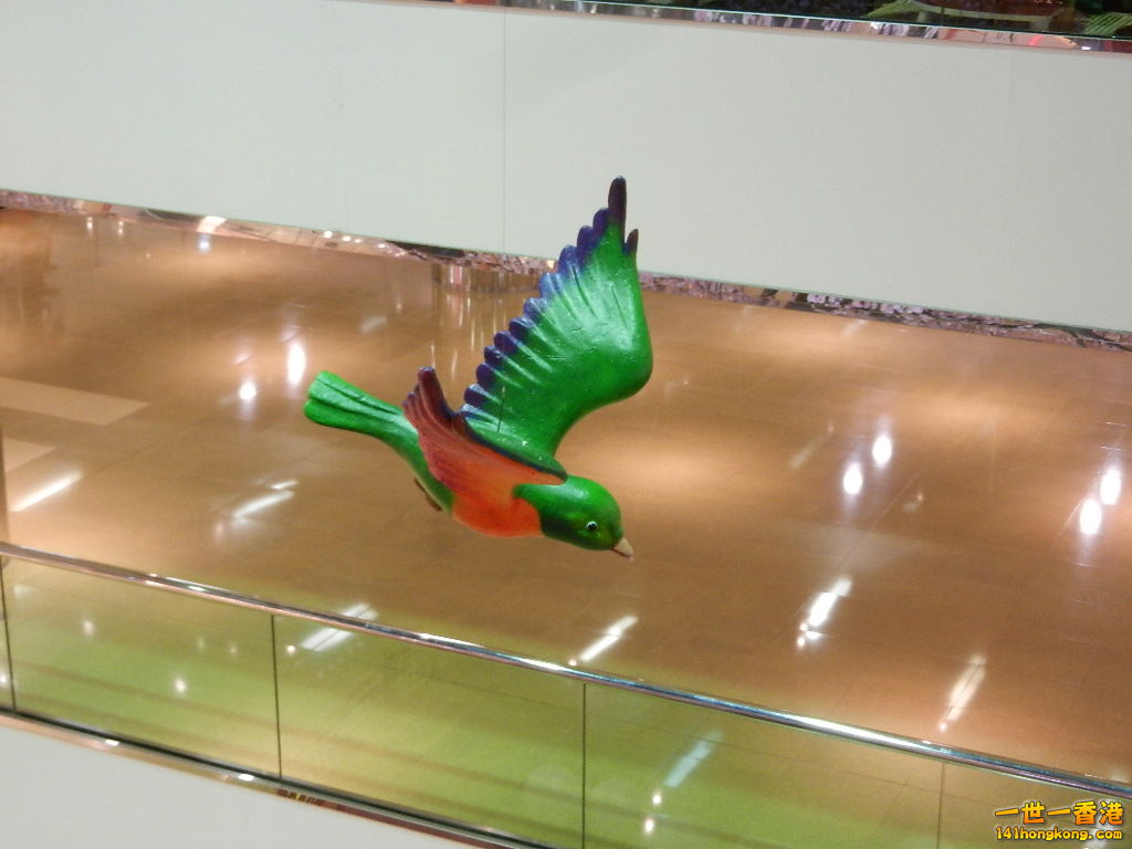 DSCN1061.JPG
