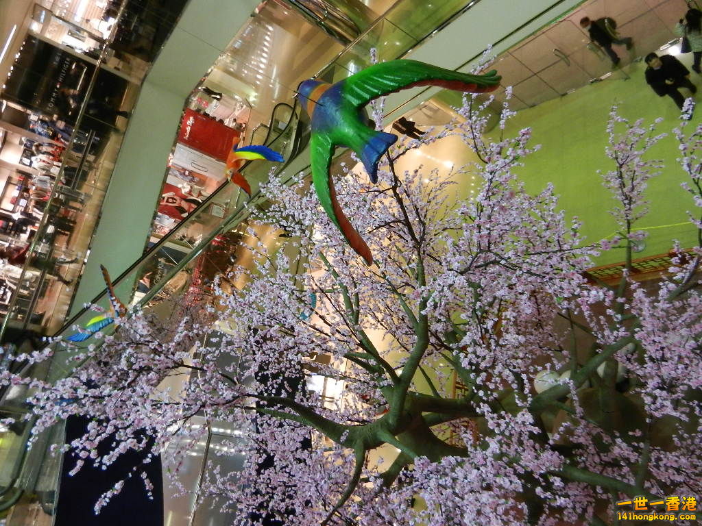 DSCN1062.JPG