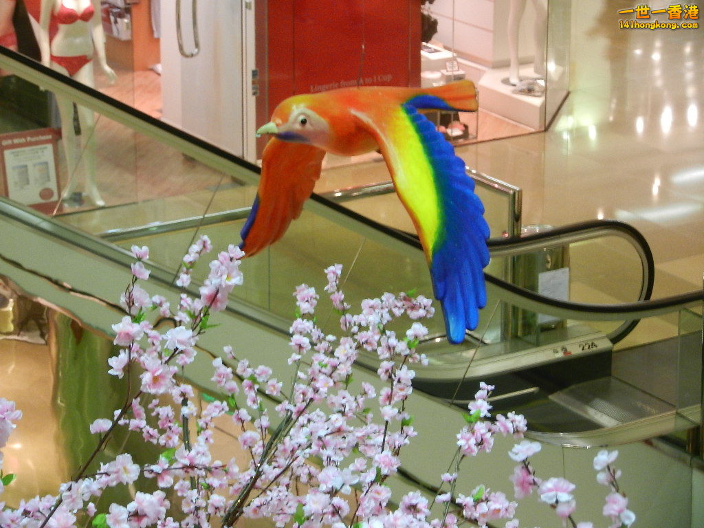 DSCN1063.JPG