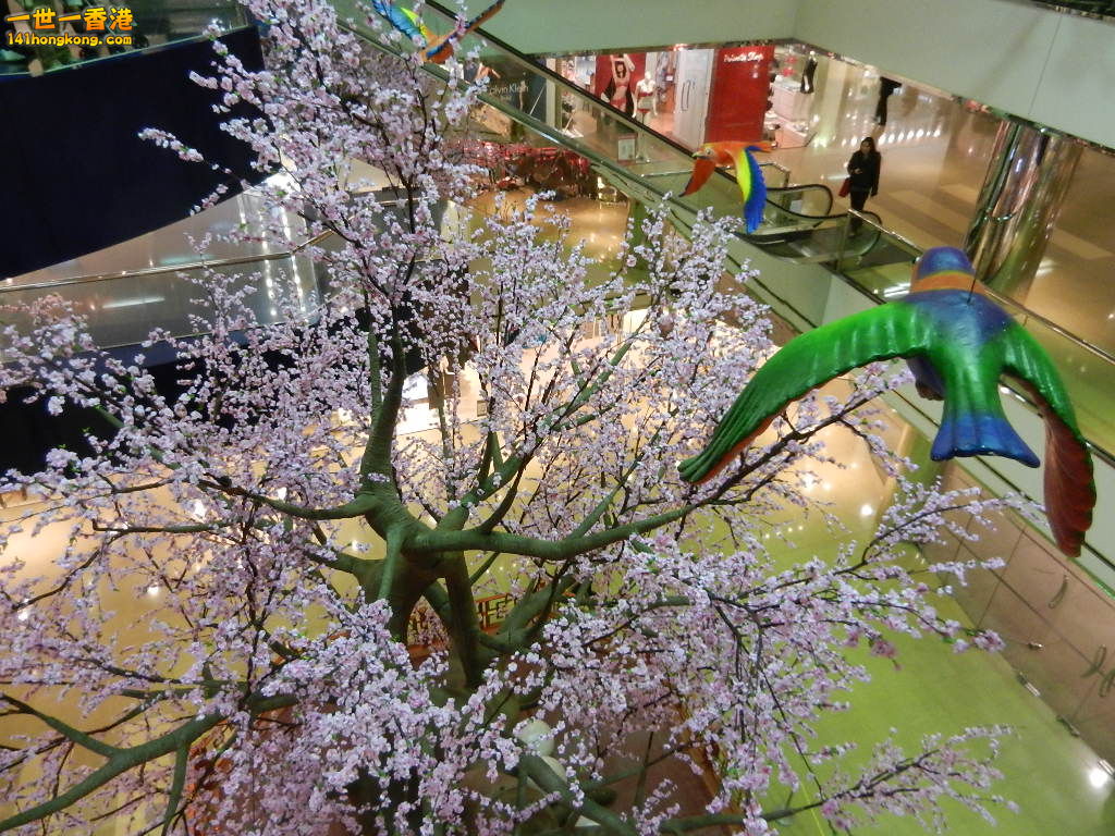 DSCN1064.JPG
