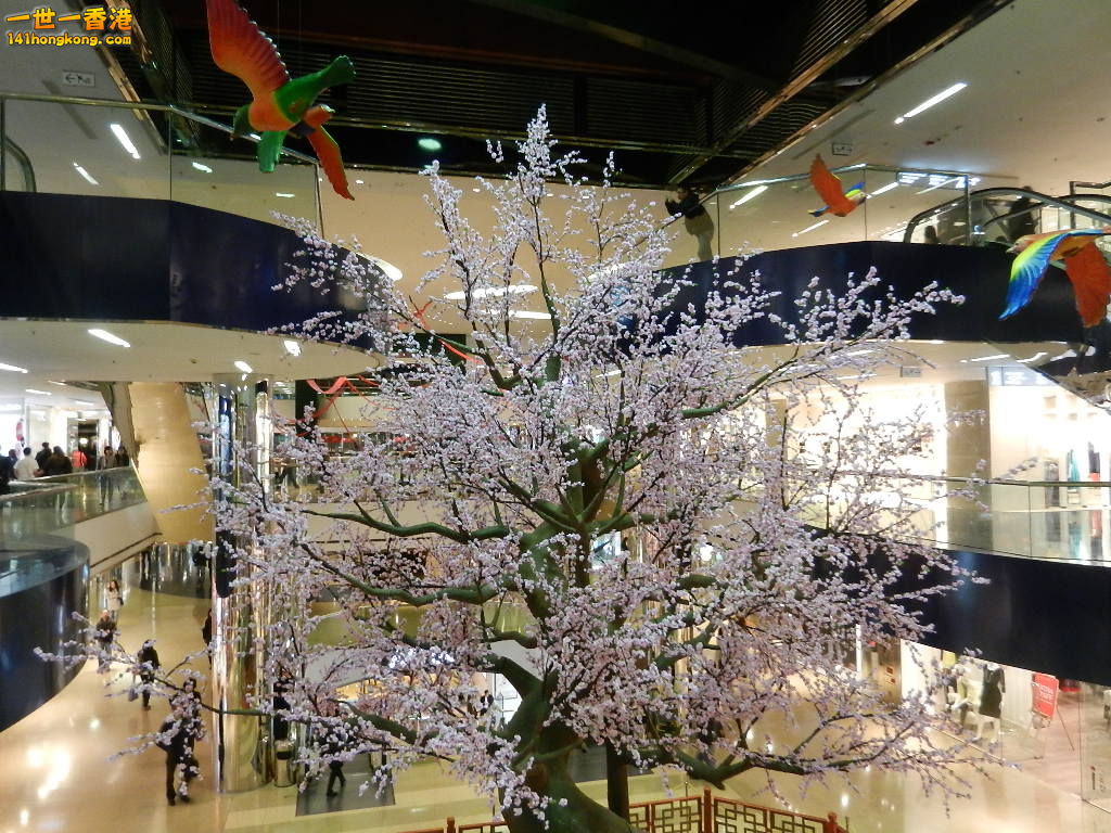 DSCN1065.JPG
