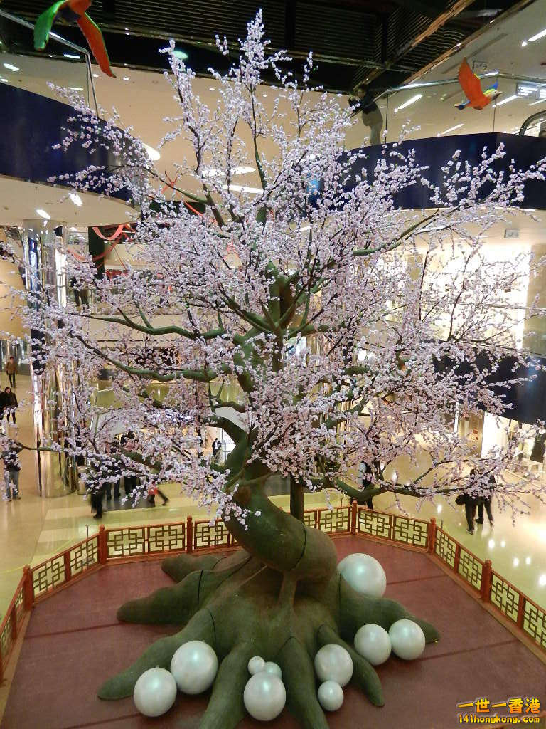 DSCN1066.JPG