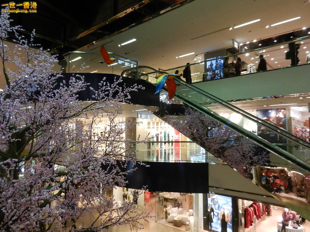 DSCN1067.JPG