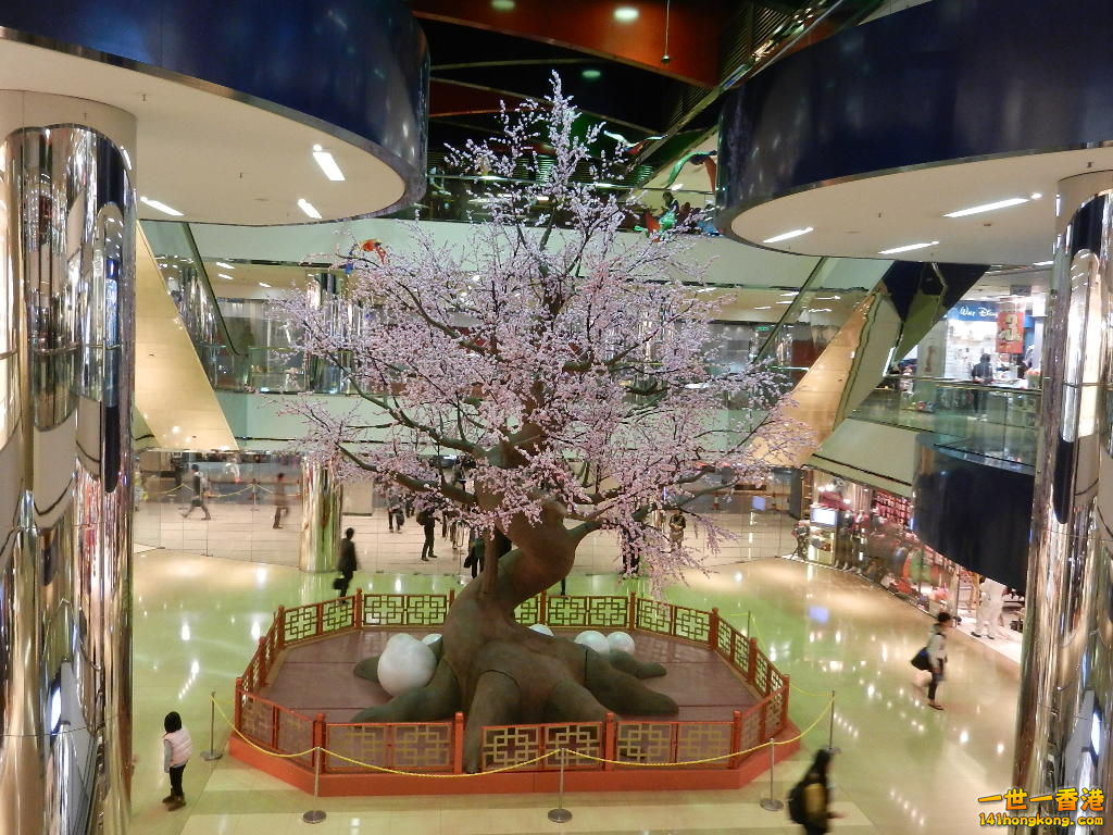 DSCN1070.JPG